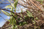 DSC00410.JPG