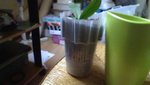DSC00083.JPG