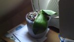 DSC00084.JPG