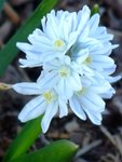 DSCF1728.JPG
