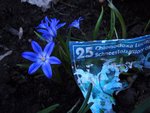 20100404_24 jinf.jpg