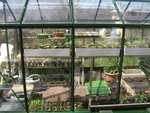 DSC03670.JPG