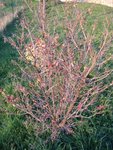 DSCN2571.JPG