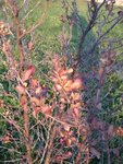 DSCN2573.JPG