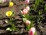 DSCN0572.JPG