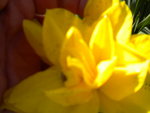 DSCN0575.JPG