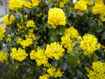 DSCN0584.JPG
