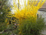 DSCN0585.JPG