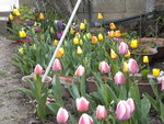DSCN0586.JPG