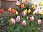 DSCN0591.JPG