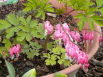DSCN0590.JPG