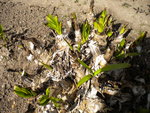 DSCN0626.JPG