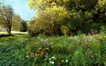 P-Peint--panorama--16-image.jpg