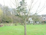 jardin2.jpg