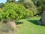 jardin7.jpg
