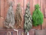 Comment joindre l'esthétique à l'utile : les 3 plantes magique ortie, fougère et prêle, la consoude, je ne la fais pas sêcher, j'en ai toujours.