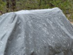 DSC00744.JPG