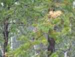 DSC00748.JPG