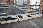 potager-en-carré.jpg