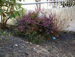 photo-16.jpg