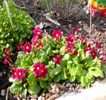 DSCN9443.JPG