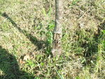 DSCF2901.JPG