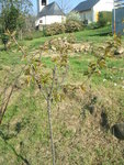 DSCF2902.JPG