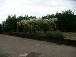 test 193.jpg