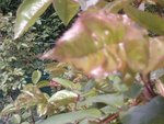 SP_A0032.jpg