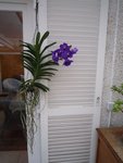 bdP1030517.JPG