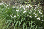 DSC00418.JPG