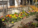 DSCN0625.JPG