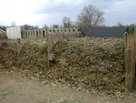 DSC03682.JPG