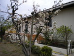 DSCN0647.JPG