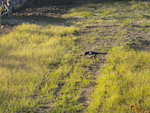 DSCN0655.JPG