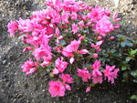 DSCN0654.JPG