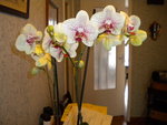 DSCN0644.JPG