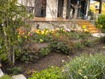 DSCN0658.JPG