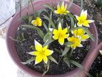 DSCN0652.JPG