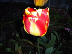 DSCN0670.JPG