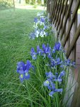 DSC03710.JPG