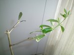 100_0044.JPG