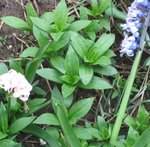 IMG_3332.JPG