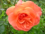 DSCN0543.JPG