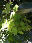 IMG_0839.JPG