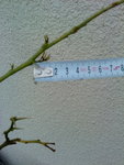 DSC00031.JPG