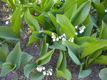 DSCN0677.JPG