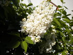 DSCN0681.JPG