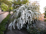 DSCN0693.JPG