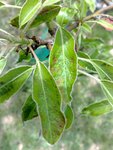 maladie2 800600.jpg